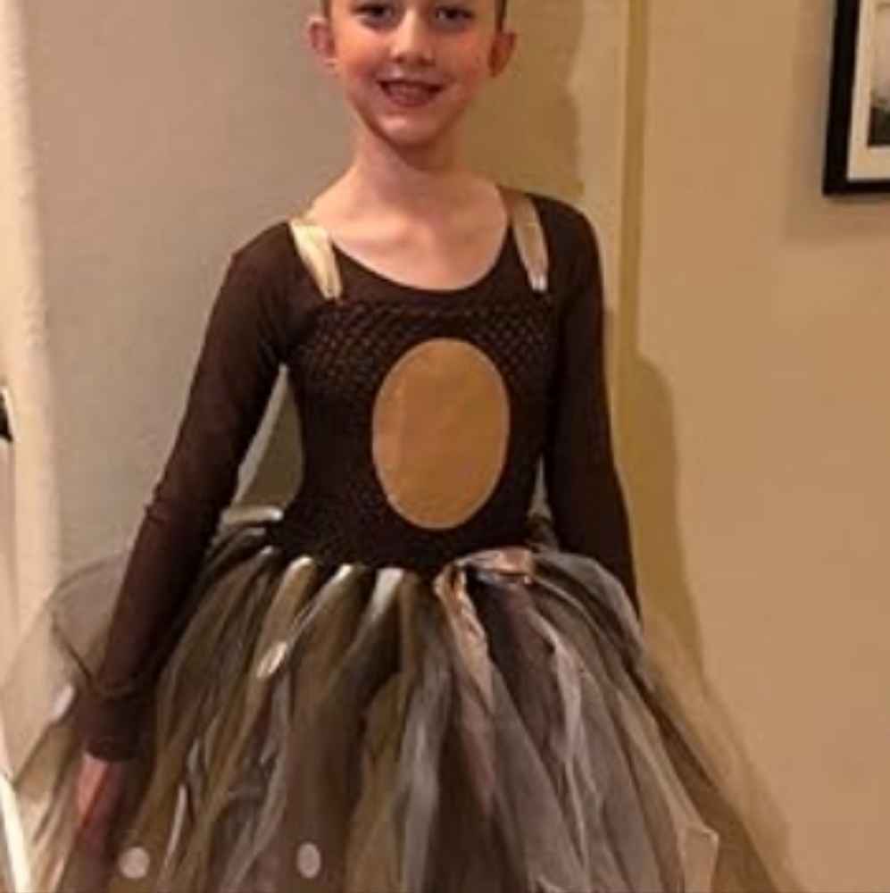 Tutu Dreams Reindeer Costumes for Kids